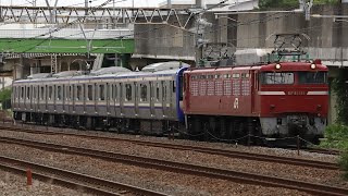 配9645レ EF81-141+E235系J-37編成 戸塚付近通過