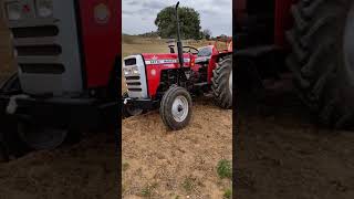 Massey Ferguson 241