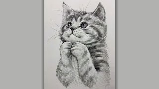 Beautiful Cat | pencil sketch drawing | sketch drawing | easy sketches | cat video | cute cat