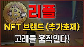 [ 리플 ] NFT 브랜드 (추가호재)!! 고래들 움직인다! #리플 #리플코인