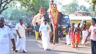 கூட்டாலுமூடு அருள் மிகு பத்ரேஸ்வரி அம்மன் பால்குடம் பவனி