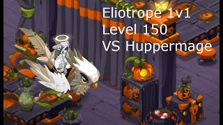 Dofus 2.57 Eliotrope 1v1 koli vs Huppermage