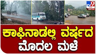 Chikkamagaluru Rain: ಬಿಸಿಲಿನಿಂದ ತತ್ತರಿಸಿದ್ದ ಮಲೆನಾಡಿಗೆ ತಂಪೆರೆದ ವರುಣದೇವ| #TV9D