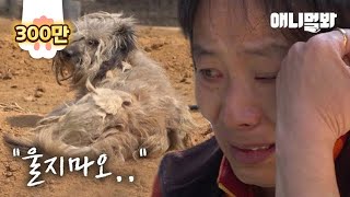 5년동안 돌봐주던 누더기 강아지에게 등을 돌렸더니... ㅣRagged Dog Who Disappeared in A Deserted, Haunted House.. But