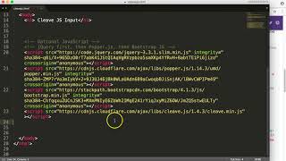 CleaveJS credit card setup [1/5]
