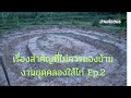 เรื่องสำคัญที่ไม่ควรมองข้าม งานขุดคลองใส้ไก่ Ep.2 #โคกหนองนาโมเดล #สวนผสมผสาน #youtube