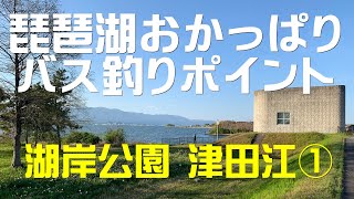 琵琶湖おかっぱりポイント 湖岸緑地津田江1