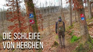 Die Schleife von Herchen | Natursteig Sieg Etappe 6 | Natur in NRW | 2023 | Jörg Müller