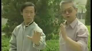 尚派形意拳二代传人 (李文彬) Li Hong  李宏 Li Wen bin Shang pai Xing Yi quan