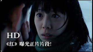 夏帆\u0026妻夫木聪演绎不伦之恋，共同主演新片《红》曝光正片片段！