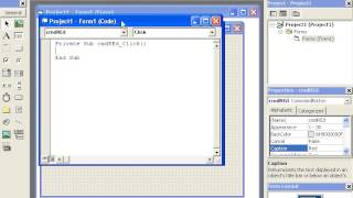 Project 8 visual basic