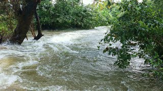 Kalakad Sivapuram River / kalakad mundanthurai tiger reserve / kalakad tourist places