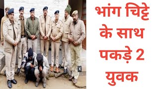 भांग चिट्टे के साथ पकड़े 2 युवक, Himachal Pradesh Breaking News