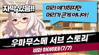 [우마무스메](한글번역) 비와 하야히데의 캐릭터 스토리를 자막과 함께 보기!(말딸)