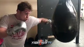 CANELO GOING CRAZY IN TRAINING! MONSTER BODY SHOTS BEING LANDED FOR GOLOVKIN REMATCH!