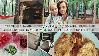 🇺🇦 Сезонні продукти!🍒🫛 Готуємо відбивні! Суботній відпочинок за містом!🌲 Домашні розваги з дитиною!🐰