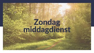 Ds. R. de Jong - 'Jezus onderwijst de onderwijzer': (Nicodemus, deel 1)