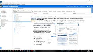 ALM Project Reports
