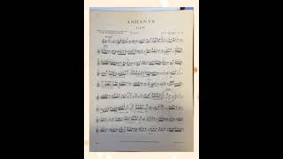 [Andante W.A Mozart K.315 for Flute] 모짜르트 안단테 플루트, Mozart Flute, 플룻연주