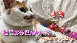 【ガチャガチャ】#19 ベコ神様ウマ娘様ポップコーンの神様。 ねこはるさんち。の家族ガチャ