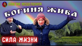 Жива — Богиня Жива, боги славянской мифологии | Богиня славян жива