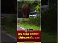 ஓடி வந்த யானை.. பின்வாங்கிய கார் shorts kerala elephant