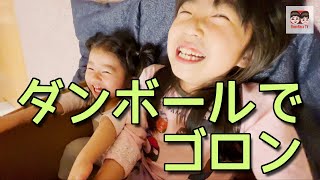 箱入り娘！ダンボールでゴロンw子どもあるある #Shorts 【#1698】