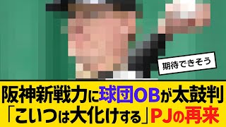 阪神新戦力に球団OBが太鼓判「こいつは大化けする」PJの再来　【ネットの反応】【反応集】