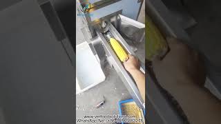 VERFOODSOLUTIONS Sweet Corn Kernel Thresher Machine Test Before Delivery for the USA Customer