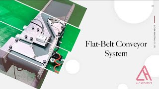 Lichen Conveyor Automation Equipment Co., Ltd |  Flat-Belt Conveyor System