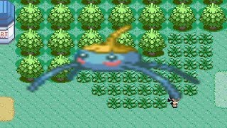 How to find Surskit in Pokemon Ruby and Sapphire