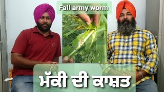 Fall army worm ।। Corn cultivation in spring-ਬਹਾਰ ਰੁੱਤ ਵਿੱਚ ਮੱਕੀ ਦੀ ਕਾਸ਼ਤ Agriculutre Special 2020