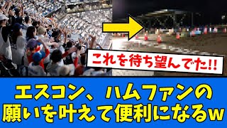 【朗報】ハムファン待望の”あれ”が追加される！！！【プロ野球反応集】【2chスレ】【5chスレ】