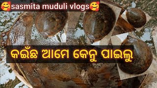 କଇଁଛ କେ କୁଅରେ ଛାଡି ଦେଲୁ 🐢🐢🐢କେତେ ମାଜା ତୁଲିଛୁ#sasmita #sambalpurivlogger #sambalpurivideo