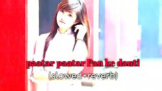 paatar paatar Pan ke danti (slowed+reverb) song