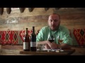 wine club’s video tastings episode 3 vita vinea’s kisi jakelebi’s saperavi