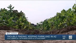 Local farmers having trouble finding, keeping farmland in Arizona