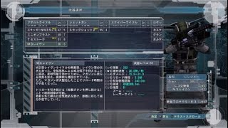 地球防衛軍5＿R INF縛り M17 災いの使役者