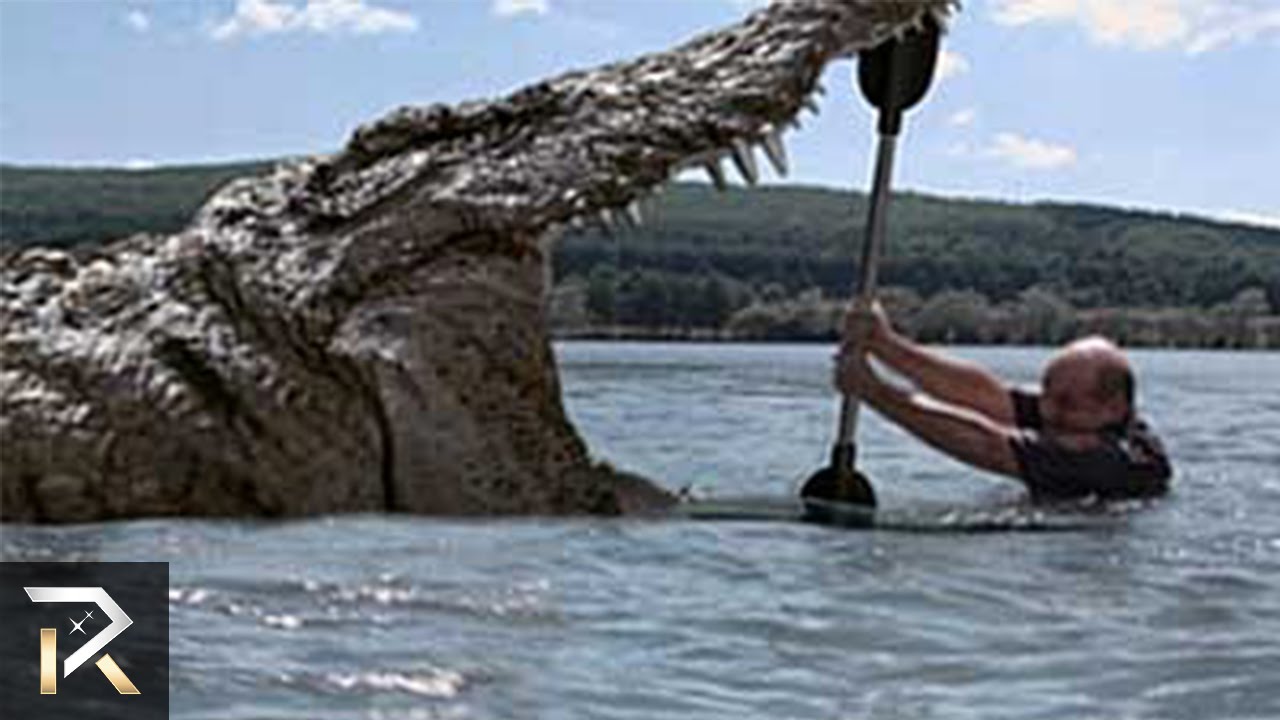 Prehistoric Animals Found Alive