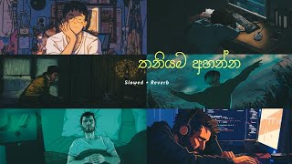 මනෝපාරකට තනියම අහන්න...Best Sinhala Song Collection | (slowed + reverb)❤️