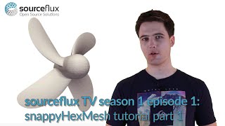 snappyHexMesh Tutorial Part 1