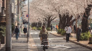 [作業用BGM] 早起きした朝に聞く気持いい洋楽 ~ 聴くとポジティブな気持ちになる心地よい音楽 - Morning Mood