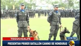 TVC Hoy Mismo- Estrenando batallón canino Ejército hondureño conmemora 189 aniversario