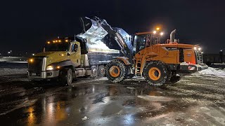 Doosan Wheel Loader Loading Dump Trucks with Snow