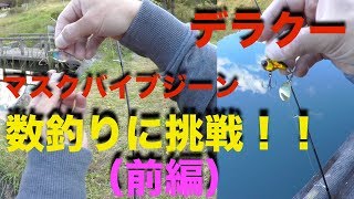 【バス釣り】ジャッカルの2大爆釣ルアーを使って数釣りに挑戦してきた！【バスワンXT】【２万円タックル】【ジャッカル】