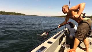 Vertikal fiske efter röding Vättern 2014-07-07