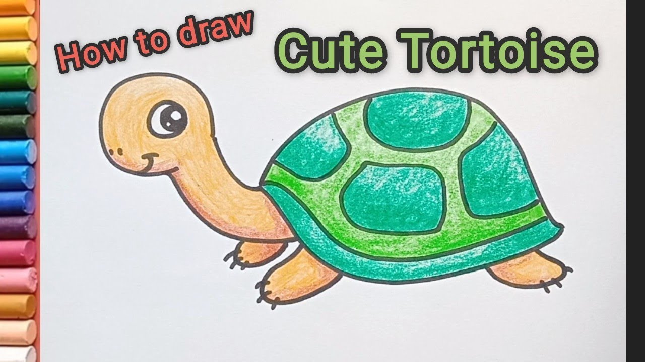 Tortoise Drawing Picture