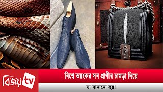 বিশ্বে ভ’য়ং’ক’র সব প্রাণীর চা’ম’ড়া দিয়ে যা বানানো হয়! Bijoy TV