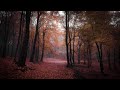 Spooky Autumn Music – Haunted Autumn Forest | Dark, Mystery