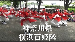 【イベント】神奈川県　横浜百姫隊　２０１９原宿スーパーよさこい★